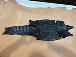 Caiman Bellies