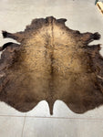 Buffalo Hides