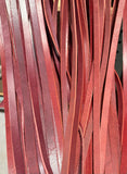 Saddle Strings