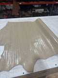 Alligator Prints