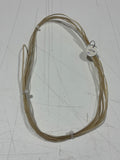 Randy Robert’s Rawhide Strings