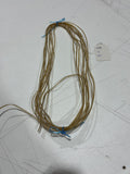 Randy Robert’s Rawhide Strings