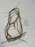 Randy Robert’s Rawhide Strings