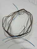 Randy Robert’s Rawhide Strings