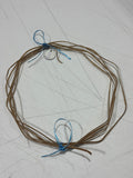 Randy Robert’s Rawhide Strings