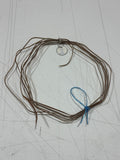 Randy Robert’s Rawhide Strings