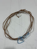Randy Robert’s Rawhide Strings
