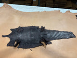 Caiman Bellies