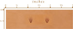 Barry King Geometric & Sea Shell