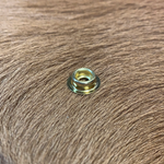 Segma Snap #24 Brass
